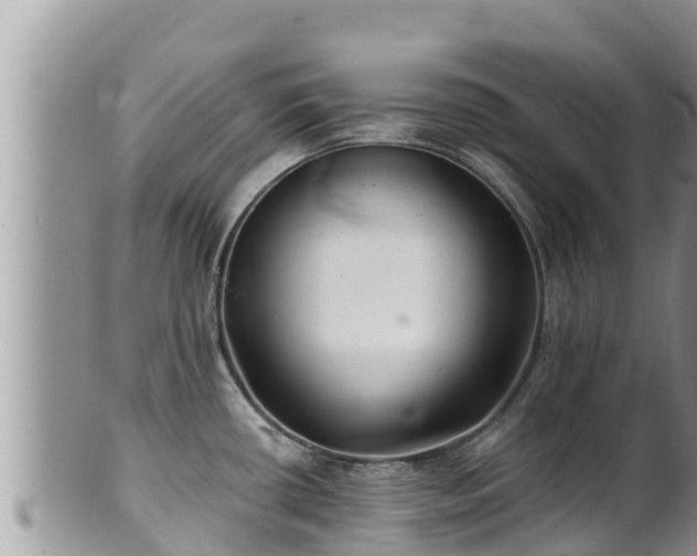 X0000102311434200808011552