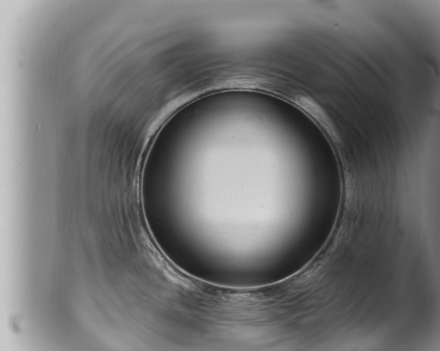 X0000102311436200808011552