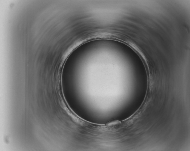 X0000102311437200808011552