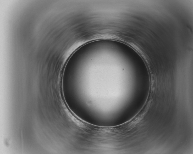 X0000102311438200808011552