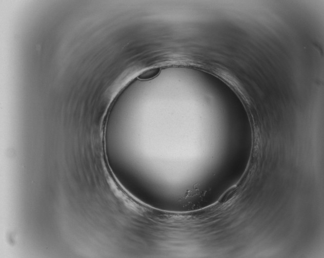 X0000102311439200808011552