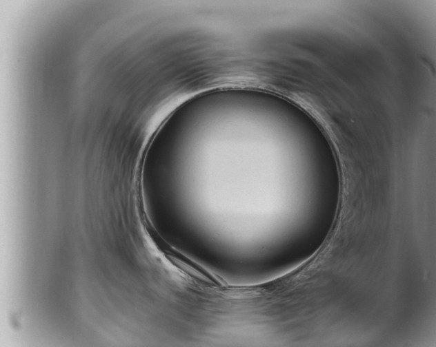 X0000102311440200808011552