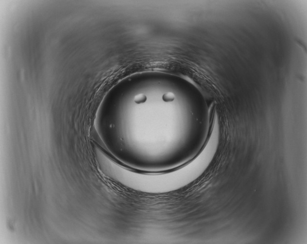 X0000102311441200808011552