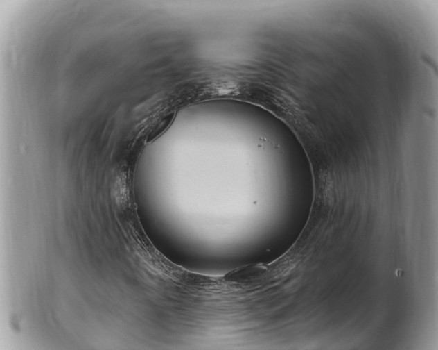 X0000102311442200808011552