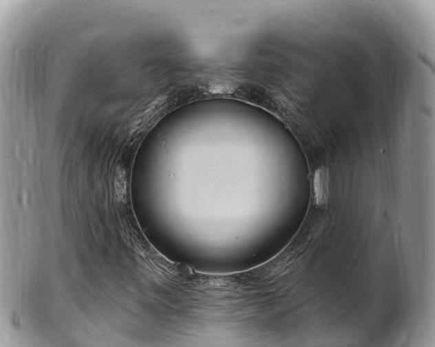 X0000102311443200808011552