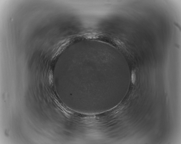 X0000102311444200808011552