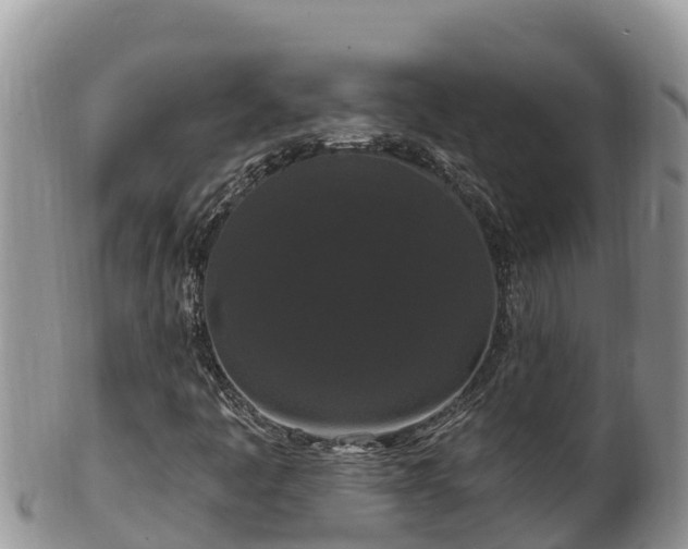 X0000102311445200808011552