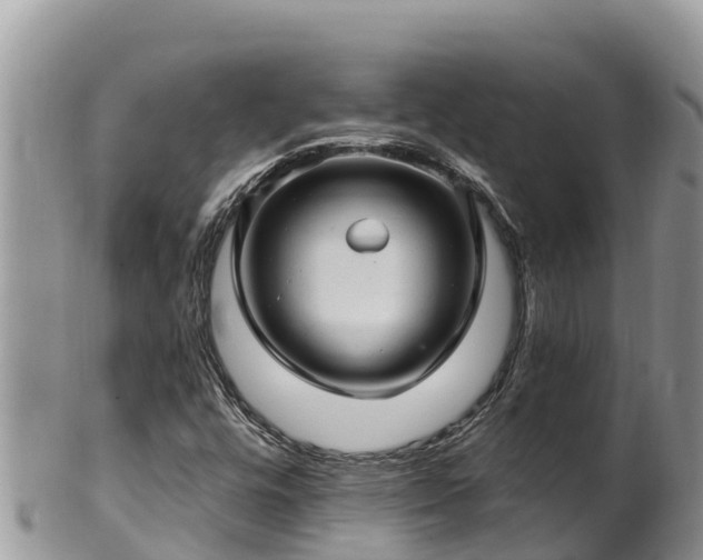 X0000102311448200808011552