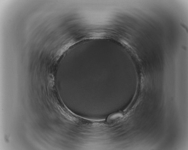 X0000102311449200808011552