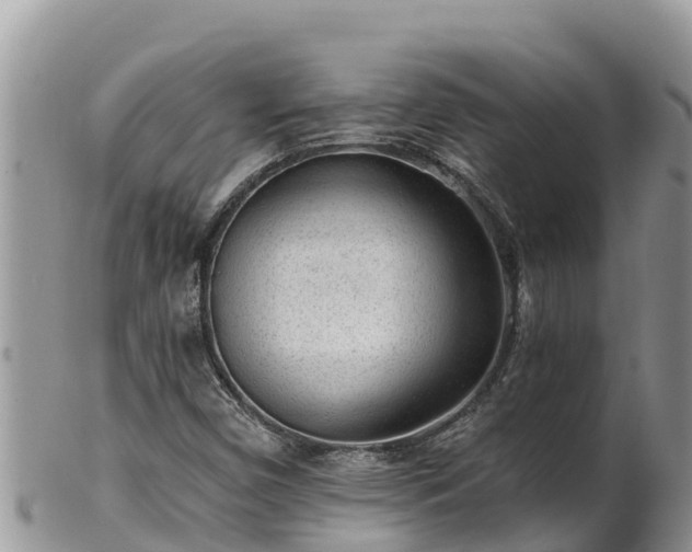 X0000102311450200808011551