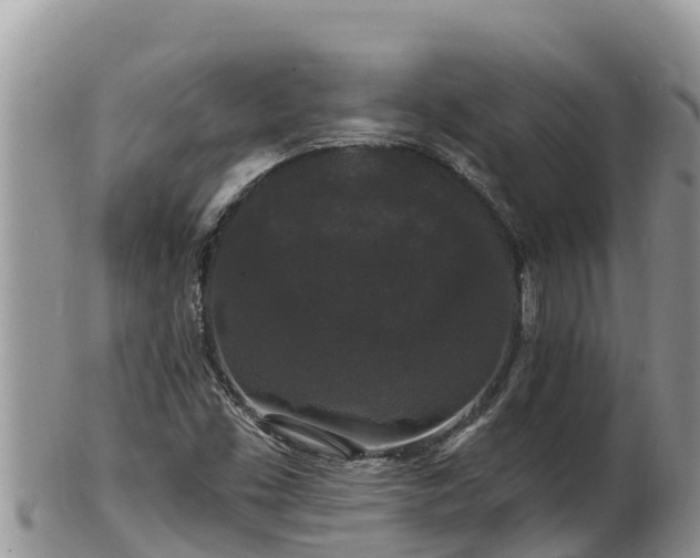 X0000102311453200808011551