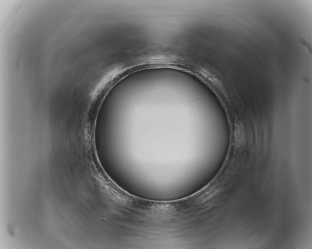 X0000102311454200808011551