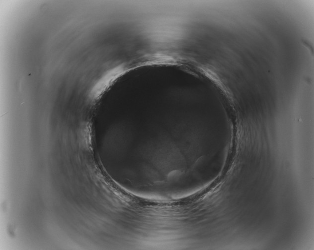 X0000102311455200808011551