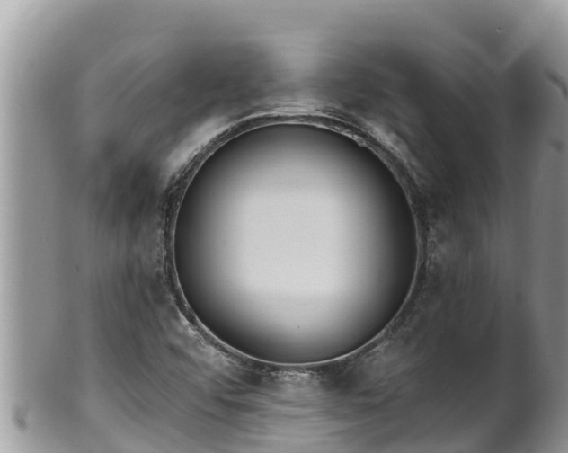 X0000102311456200808011551