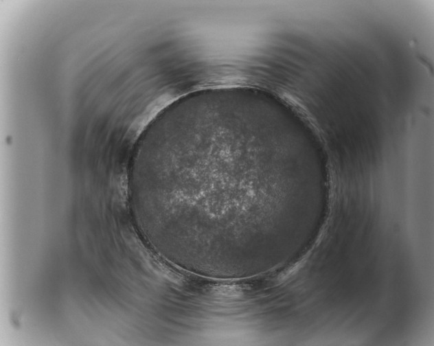 X0000102311457200808011551