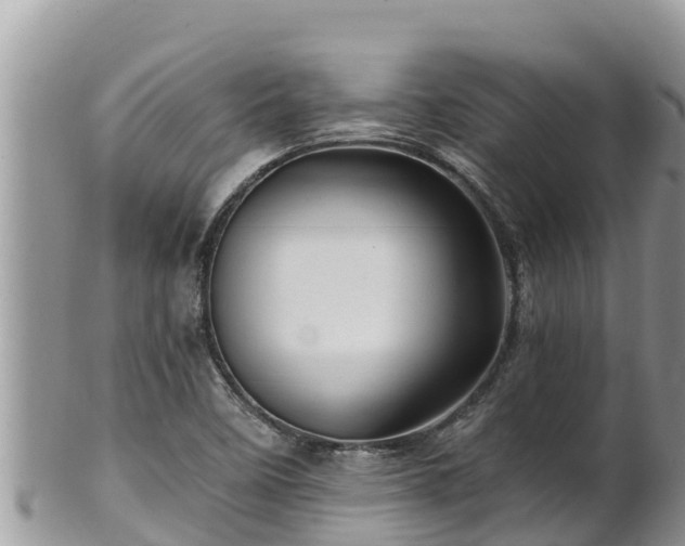 X0000102311458200808011551