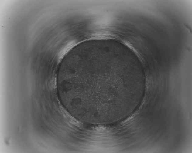 X0000102311459200808011551