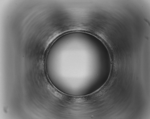 X0000102311460200808011551