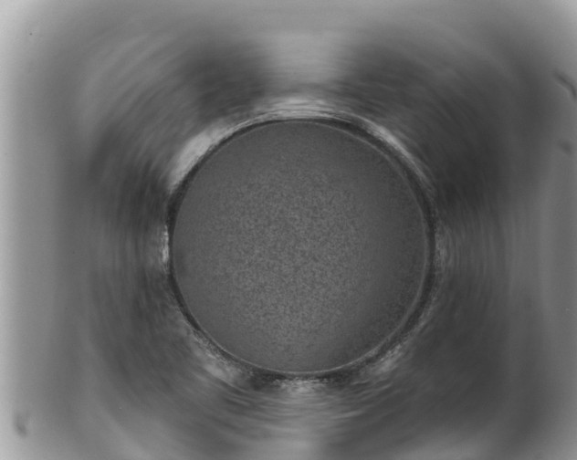 X0000102311461200808011551