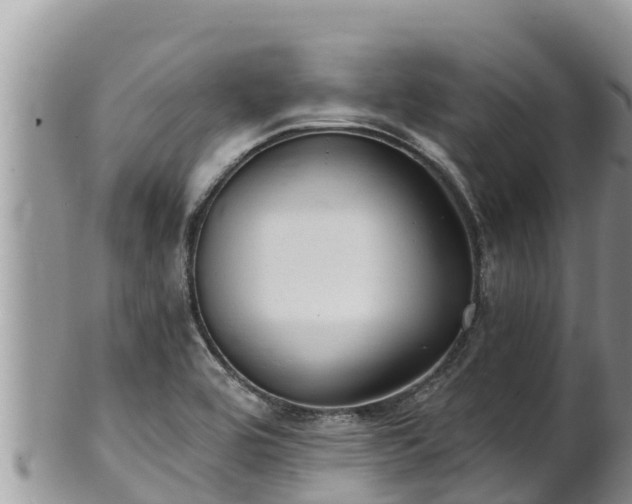 X0000102311464200808011551