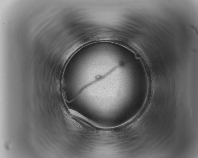 X0000102311465200808011551