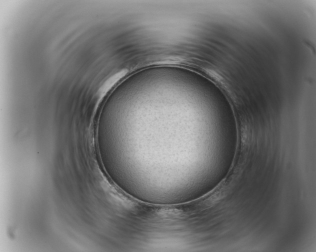 X0000102311466200808011551