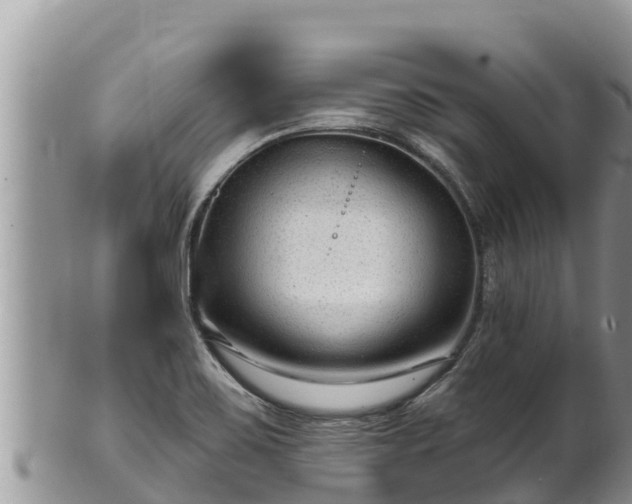 X0000102311467200808011551