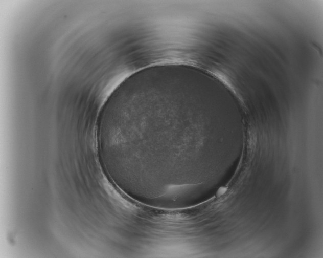 X0000102311468200808011551