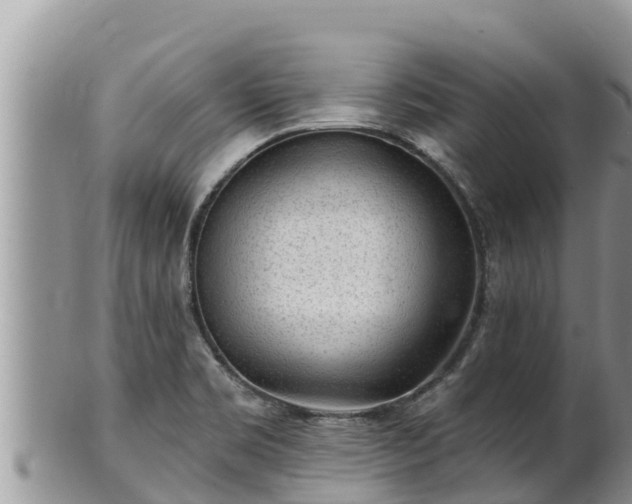 X0000102311469200808011551