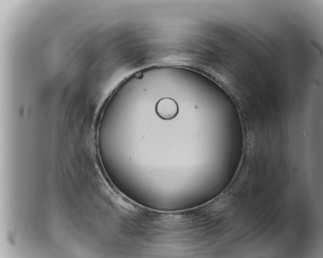 X0000102311470200808011551