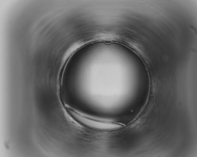 X0000102311471200808011551