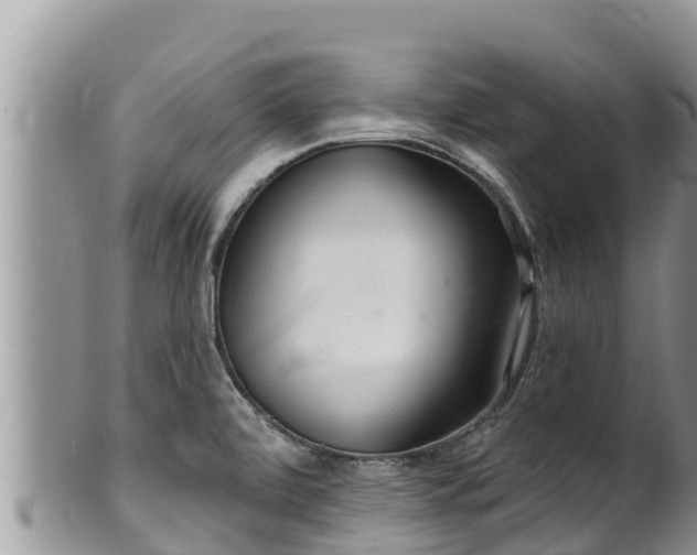 X0000102311472200808011551