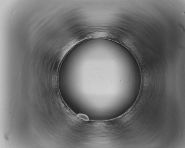 X0000102311473200808011551