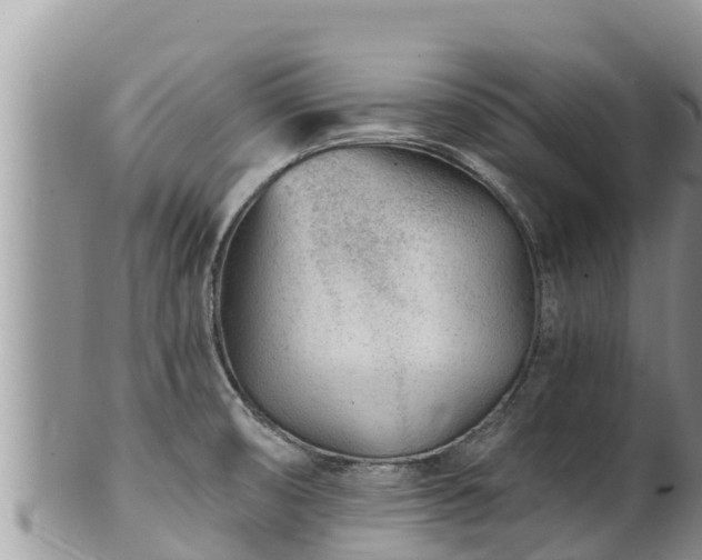 X0000102311474200808011551