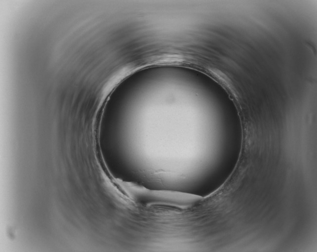 X0000102311475200808011551