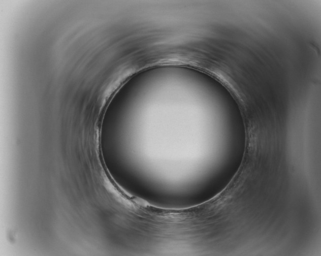 X0000102311476200808011551