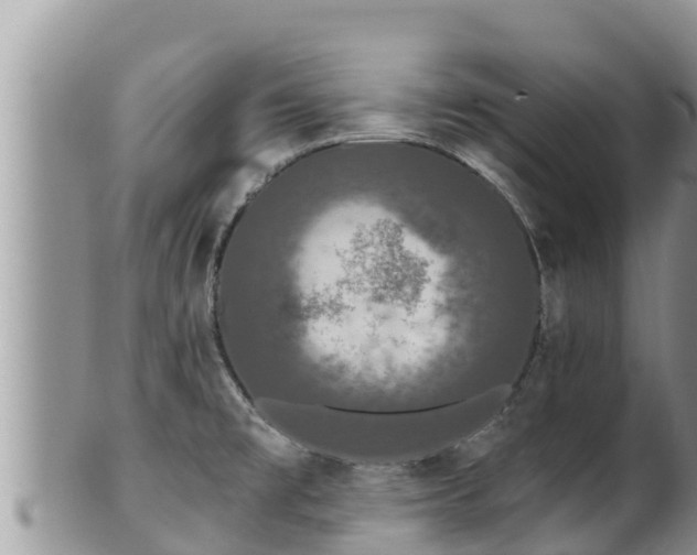 X0000102311477200808011551