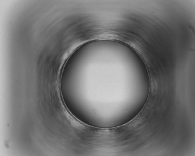 X0000102311478200808011551