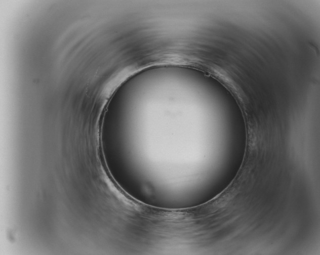 X0000102311479200808011551