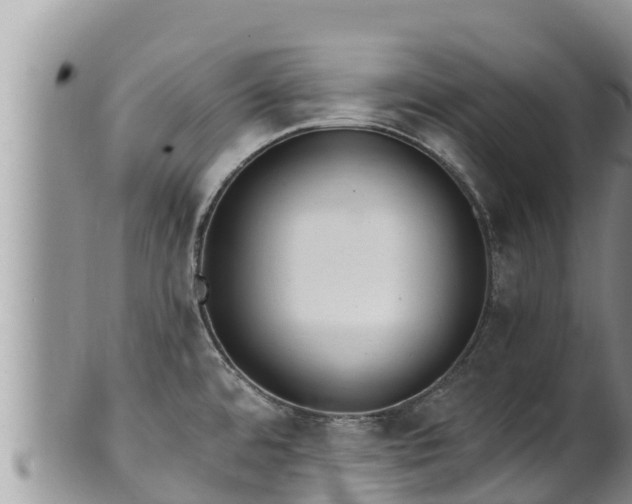 X0000102311480200808011551