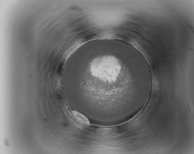 X0000102311481200808011551