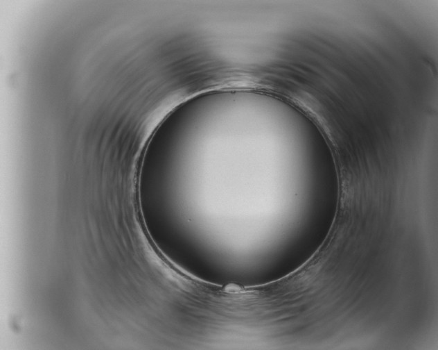 X0000102311483200808011551