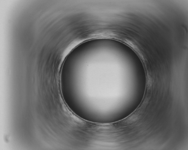 X0000102311486200808011551