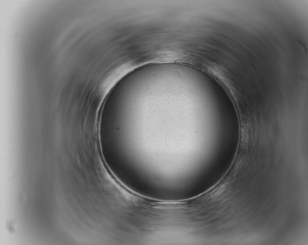 X0000102311487200808011551