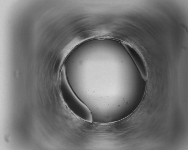 X0000102311488200808011551