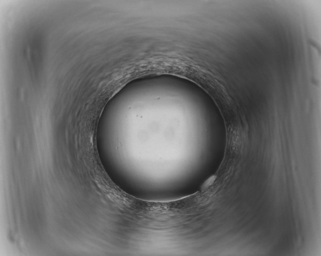 X0000102311489200808011550