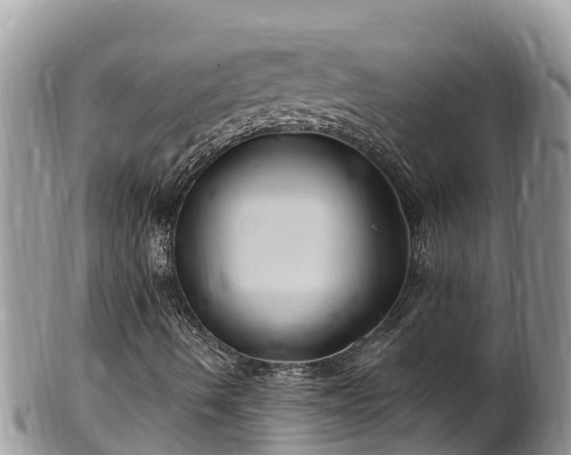 X0000102311490200808011550