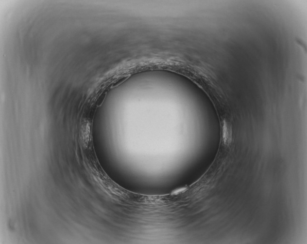 X0000102311492200808011550