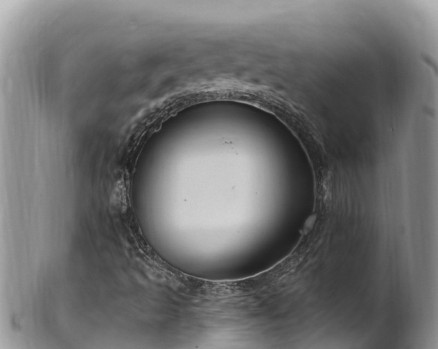 X0000102311493200808011550