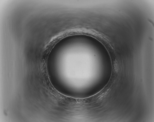 X0000102311494200808011550